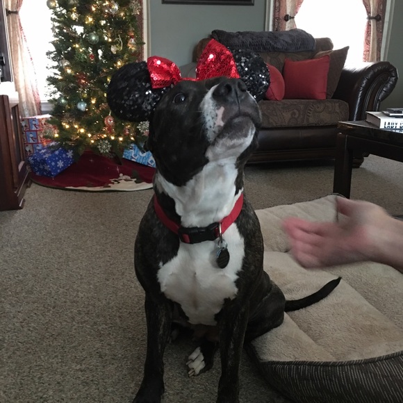 About Me!! - Picture 8 of 8